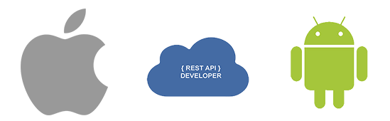 api developer